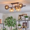 Ripoll Taklampa, kullampa Amber, Klart, Rökfärger, 5-ljuskällor
