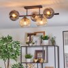 Ripoll Taklampa, kullampa Amber, Klart, Rökfärger, 5-ljuskällor