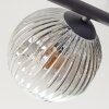 Ripoll Taklampa, kullampa Amber, Klart, Rökfärger, 5-ljuskällor
