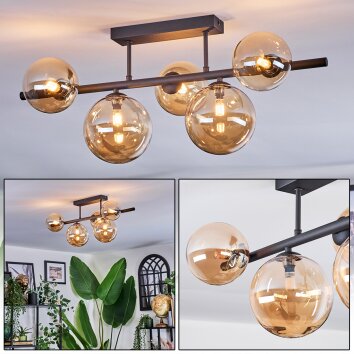 Chehalis Taklampa, kullampa Amber, 5-ljuskällor