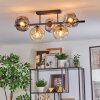 Ripoll Taklampa, kullampa Amber, Klart, Rökfärger, 5-ljuskällor