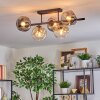 Ripoll Taklampa, kullampa Amber, Klart, Rökfärger, 5-ljuskällor