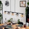 Koyoto Pendellampa, kullampa, Pendelbelysning Amber, Klart, Rökfärger, 5-ljuskällor