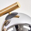 Koyoto Taklampa, kullampa Guld, Svart, 10-ljuskällor