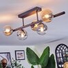Chehalis Taklampa, kullampa Amber, Klart, Rökfärger, 5-ljuskällor