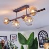 Chehalis Taklampa, kullampa Amber, Klart, 5-ljuskällor