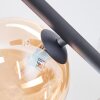 Chehalis Taklampa, kullampa Amber, Klart, 5-ljuskällor