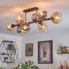 Koyoto Taklampa, kullampa Amber, Klart, Rökfärger, 8-ljuskällor