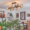 Koyoto Taklampa, kullampa Amber, Klart, Rökfärger, 8-ljuskällor