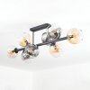 Koyoto Taklampa, kullampa Amber, Klart, Rökfärger, 8-ljuskällor