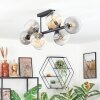 Koyoto Taklampa, kullampa Amber, Klart, Rökfärger, 8-ljuskällor