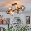 Koyoto Taklampa, kullampa Amber, Klart, Rökfärger, 8-ljuskällor