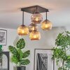 Ripoll Taklampa, kullampa Amber, Rökfärger, 5-ljuskällor