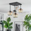 Ripoll Taklampa, kullampa Amber, Klart, Rökfärger, 5-ljuskällor