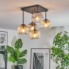 Ripoll Taklampa, kullampa Amber, Klart, Rökfärger, 5-ljuskällor