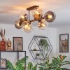 Koyoto Taklampa, kullampa Amber, Klart, Rökfärger, 8-ljuskällor