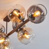 Koyoto Taklampa, kullampa Amber, Klart, Rökfärger, 8-ljuskällor