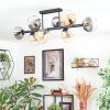 Koyoto Taklampa, kullampa Amber, Klart, Rökfärger, 8-ljuskällor