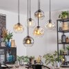 Ripoll Pendellampa, kullampa, Pendelbelysning Amber, Klart, Rökfärger, 6-ljuskällor