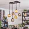 Ripoll Pendellampa, kullampa, Pendelbelysning Amber, Rökfärger, 6-ljuskällor