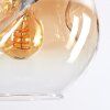 Ripoll Pendellampa, kullampa, Pendelbelysning Amber, Klart, Rökfärger, 6-ljuskällor