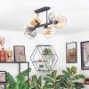Koyoto Taklampa, kullampa Amber, Klart, Rökfärger, 6-ljuskällor