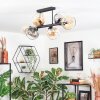 Koyoto Taklampa, kullampa Amber, Klart, Rökfärger, 6-ljuskällor