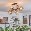 Koyoto Taklampa, kullampa Amber, Klart, Rökfärger, 6-ljuskällor