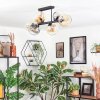 Koyoto Taklampa, kullampa Amber, Klart, Rökfärger, 6-ljuskällor