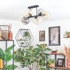 Koyoto Taklampa, kullampa Amber, Klart, Rökfärger, 6-ljuskällor
