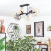 Koyoto Taklampa, kullampa Amber, Klart, Rökfärger, 6-ljuskällor