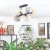 Koyoto Taklampa, kullampa Amber, Klart, Rökfärger, 6-ljuskällor