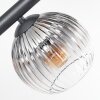 Koyoto Taklampa, kullampa Amber, Klart, Rökfärger, 6-ljuskällor