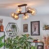 Koyoto Taklampa, kullampa Amber, Klart, Rökfärger, 6-ljuskällor