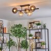 Koyoto Taklampa, kullampa Amber, Klart, Rökfärger, 5-ljuskällor