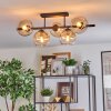 Koyoto Taklampa, kullampa Amber, Klart, 5-ljuskällor
