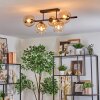 Koyoto Taklampa, kullampa Amber, Klart, 5-ljuskällor