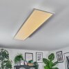 Orain Taklampa, Panel LED Vit, 1-ljuskällor, Färgväxlare