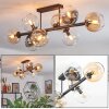 Koyoto Taklampa, kullampa Amber, Klart, Rökfärger, 8-ljuskällor