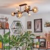 Koyoto Taklampa, kullampa Amber, Klart, Rökfärger, 8-ljuskällor