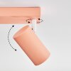 Javel Taklampa, Takstrålkastare Rosa, Vit, 4-ljuskällor