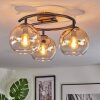 Koyoto Taklampa, kullampa Amber, Klart, 3-ljuskällor
