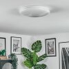 Peran Taklampa LED Vit, 1-ljuskällor, Färgväxlare