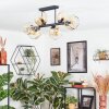 Ripoll Taklampa, kullampa Amber, Klart, 6-ljuskällor