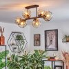 Ripoll Taklampa, kullampa Amber, Klart, 6-ljuskällor