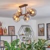 Ripoll Taklampa, kullampa Amber, Klart, Rökfärger, 6-ljuskällor