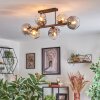 Ripoll Taklampa, kullampa Amber, Klart, Rökfärger, 6-ljuskällor