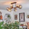 Ripoll Taklampa, kullampa Amber, Klart, Rökfärger, 6-ljuskällor