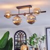 Chehalis Taklampa, kullampa Amber, Klart, Rökfärger, 5-ljuskällor