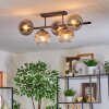 Koyoto Taklampa, kullampa Klart, Rökfärger, 5-ljuskällor